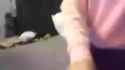 1653155050186_thumb.jpg