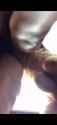 TOAO_thumb.jpg