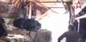 su 30 sniffs inside ru cargo plane_thumb.jpg