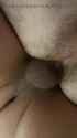 9ccd3e50a164a12b2314b8418f6bae7e4f5d2948f9f228016888ea02340879e3_thumb.jpg