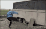 kungfu cyka
