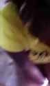 Amateur Facial1649382862331_thumb.jpg