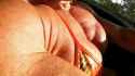 Anne Sheehan Dudash pecs counce_thumb.jpg