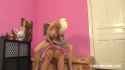 czechboobs.e49.tanya.virago_thumb.jpg