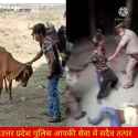 indian farmer gets tormented for livestock slaughter_thumb.jpg