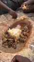 African roadkill and taters_thumb.jpg