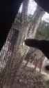 1748997492M7s5iu4pv1JzeA_thumb.jpg