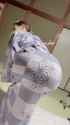 Cherry_purple5 - 1683690759751622656_thumb.jpg