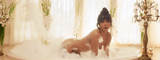 Ciara_5865f8ae681166a52c154ac56753edb43ef52efb82a0e23a2bd6c50c78370859