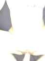 Soft Asian tummy BWC breeding_thumb.jpg