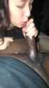 phazn_thumb.jpg