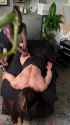 Hunter Henderson BLAQ BULL MASSAGE (compressed)_thumb.jpg