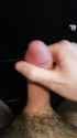 173108_cmshot_thumb.jpg