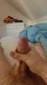 ComfortableCavernousAdamsstaghornedbeetle_thumb.jpg