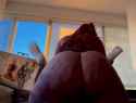 valencia.hall_10_thumb.jpg
