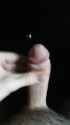 20180917_182934_cmshot_thumb.jpg