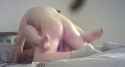 17651246846259_thumb.jpg