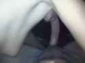 4262312_thumb.jpg