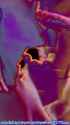 674_thumb.jpg