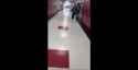 White Girl commits suicide after being beaten, bullied at school by feral Sheboons, video posted to Social Media - Black Crime (audio) (4MB)_thumb.jpg