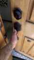 Jezzi dinner_thumb.jpg