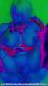 LN_0810_thumb.jpg