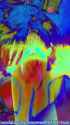 LN_0814_thumb.jpg