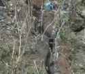 VID_20240701_072916_140_thumb.jpg