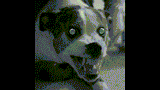 Grrrrr