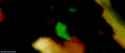 NL_0679_thumb.jpg