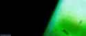 NL_0683_thumb.jpg