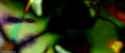 NL_0687_thumb.jpg