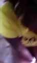 black friend facial_thumb.jpg
