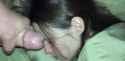 952_thumb.jpg