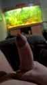 1725244614813385_thumb.jpg
