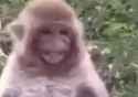 1748820713797763_thumb.jpg