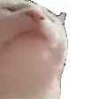 1723774151209969_thumb.jpg
