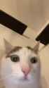 1727450647905399_thumb.jpg