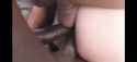 555twitter.com_1700032237483_thumb.jpg