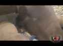 Big_Black_Shemale_destroys_little_Guy_480p-[www.pussyspace.com]_thumb.jpg