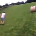 White Men Can&#039;t Jump - Rolling Hay Bale Fail_thumb.jpg