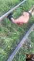 train8_thumb.jpg