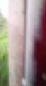 train16_thumb.jpg