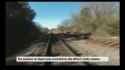 train51_thumb.jpg