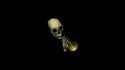 skeleton_thumb.jpg