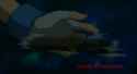 1698170688612254_thumb.jpg