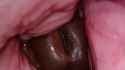 1750611924663663_thumb.jpg