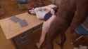 1709281110148243_thumb.jpg