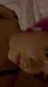 1000037643_thumb.jpg