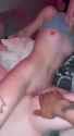1744657092668978_thumb.jpg
